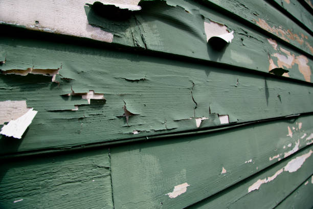 Siding Removal and Disposal in Willow, AK