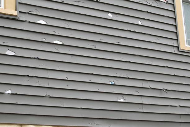 Best Wood Siding Installation  in Willow, AK