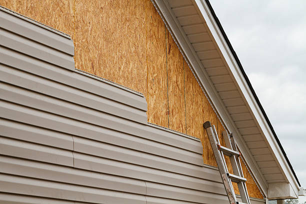 Best Vinyl Siding Installation  in Willow, AK